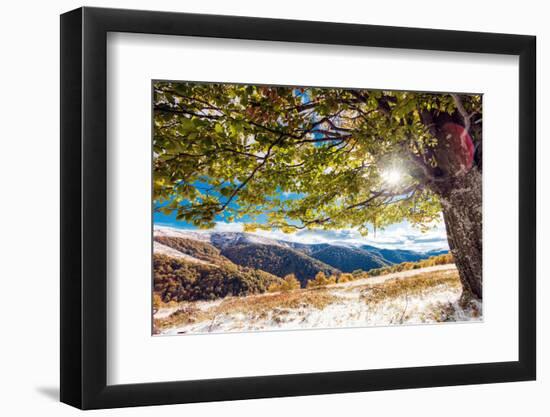 Beautiful Colorful Autumn Leaves in the Forest. Carpathian, Ukraine, Europe. Beauty World.-Leonid Tit-Framed Photographic Print