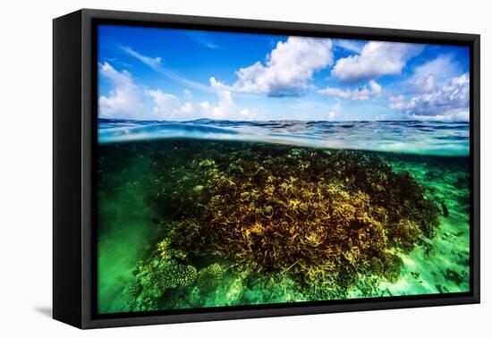 Beautiful Coral Garden Underwater, Diving on Maldives, Blue Cloudy Sky, Turquoise Water, Luxury Sum-Anna Omelchenko-Framed Premier Image Canvas