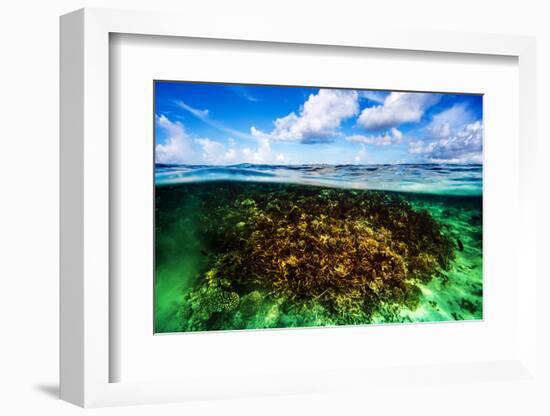Beautiful Coral Garden Underwater, Diving on Maldives, Blue Cloudy Sky, Turquoise Water, Luxury Sum-Anna Omelchenko-Framed Photographic Print