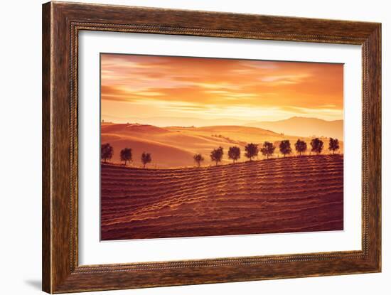 Beautiful Countryside Landscape, Amazing Orange Sunset over Golden Soil Hills, Beauty of Nature, Ag-Anna Omelchenko-Framed Photographic Print