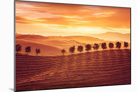 Beautiful Countryside Landscape, Amazing Orange Sunset over Golden Soil Hills, Beauty of Nature, Ag-Anna Omelchenko-Mounted Photographic Print