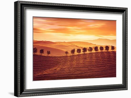 Beautiful Countryside Landscape, Amazing Orange Sunset over Golden Soil Hills, Beauty of Nature, Ag-Anna Omelchenko-Framed Photographic Print