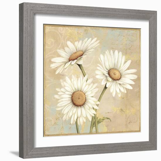 Beautiful Daisies I-Daphne Brissonnet-Framed Art Print