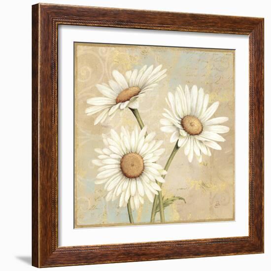 Beautiful Daisies I-Daphne Brissonnet-Framed Art Print