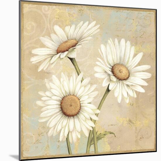 Beautiful Daisies I-Daphne Brissonnet-Mounted Art Print