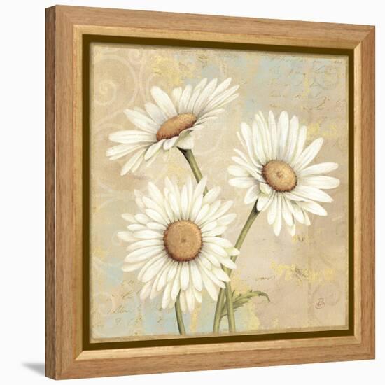 Beautiful Daisies I-Daphne Brissonnet-Framed Stretched Canvas