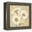 Beautiful Daisies I-Daphne Brissonnet-Framed Stretched Canvas