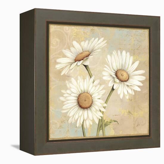 Beautiful Daisies I-Daphne Brissonnet-Framed Stretched Canvas