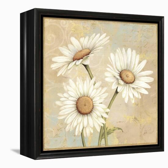 Beautiful Daisies I-Daphne Brissonnet-Framed Stretched Canvas