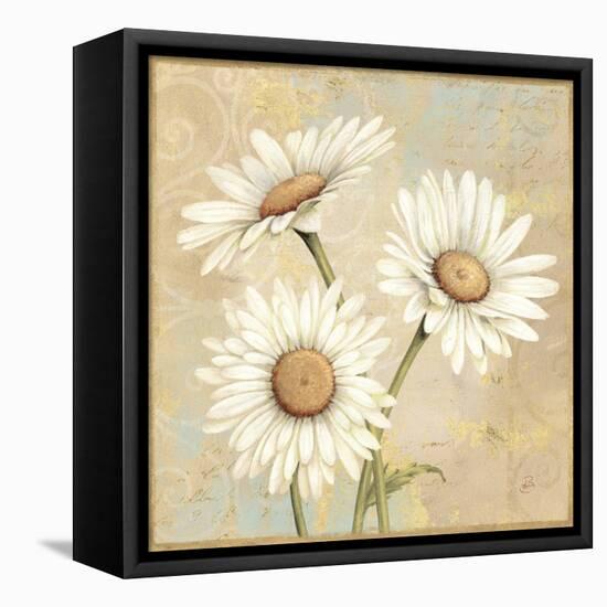 Beautiful Daisies I-Daphne Brissonnet-Framed Stretched Canvas