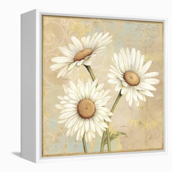 Beautiful Daisies I-Daphne Brissonnet-Framed Stretched Canvas