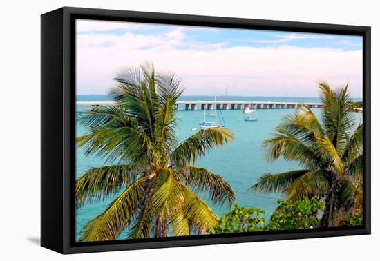 Beautiful Day-Gail Peck-Framed Premier Image Canvas