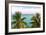 Beautiful Day-Gail Peck-Framed Photographic Print