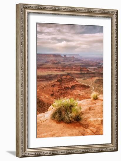Beautiful Dead Horse Point-Vincent James-Framed Photographic Print