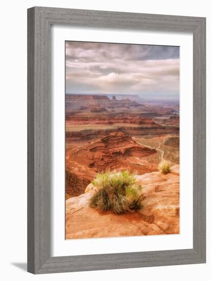 Beautiful Dead Horse Point-Vincent James-Framed Photographic Print