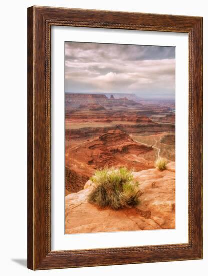 Beautiful Dead Horse Point-Vincent James-Framed Photographic Print