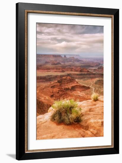 Beautiful Dead Horse Point-Vincent James-Framed Photographic Print