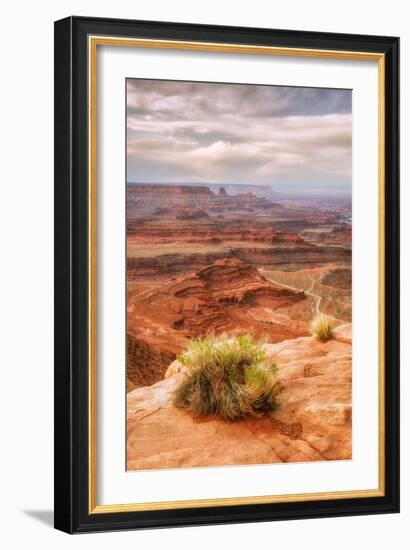 Beautiful Dead Horse Point-Vincent James-Framed Photographic Print