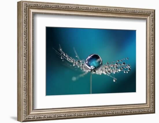 Beautiful Dew Drops on a Dandelion Seed Macro. Beautiful Soft Light Blue and Violet Background. Wat-Laura Pashkevich-Framed Photographic Print