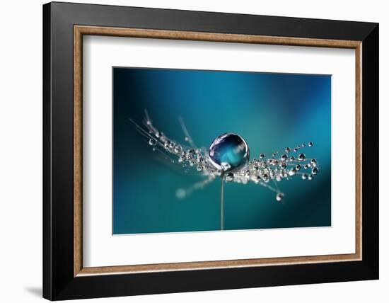 Beautiful Dew Drops on a Dandelion Seed Macro. Beautiful Soft Light Blue and Violet Background. Wat-Laura Pashkevich-Framed Photographic Print