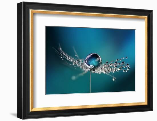 Beautiful Dew Drops on a Dandelion Seed Macro. Beautiful Soft Light Blue and Violet Background. Wat-Laura Pashkevich-Framed Photographic Print