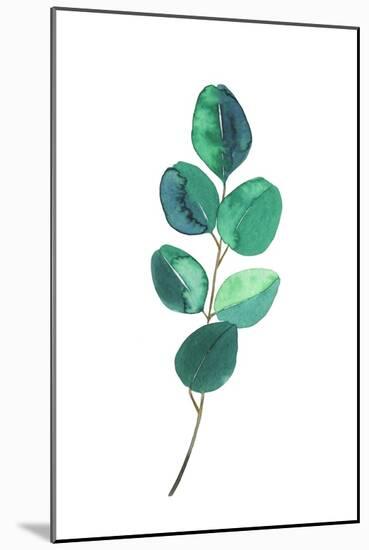 Beautiful Eucalyptus - Botanical Watercolor-Maria Mirnaya-Mounted Art Print