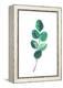 Beautiful Eucalyptus - Botanical Watercolor-Maria Mirnaya-Framed Stretched Canvas