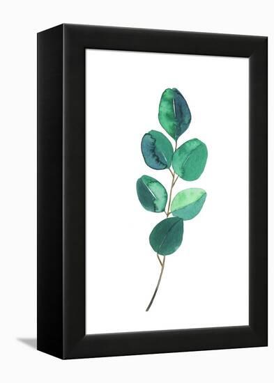 Beautiful Eucalyptus - Botanical Watercolor-Maria Mirnaya-Framed Stretched Canvas