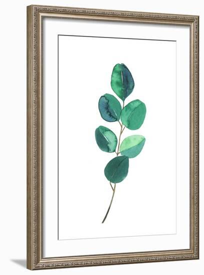 Beautiful Eucalyptus - Botanical Watercolor-Maria Mirnaya-Framed Art Print