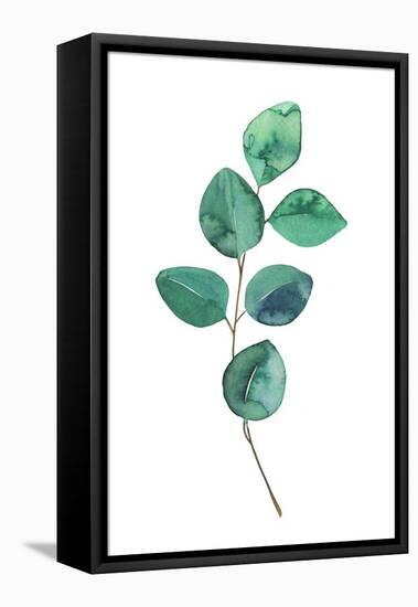 Beautiful Eucalyptus - Botanical Watercolor-Maria Mirnaya-Framed Stretched Canvas