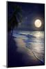 Beautiful Fantasy Tropical Beach with Milky Way Star in Night Skies, Full Moon - Retro Style Artwor-jakkapan-Mounted Photographic Print