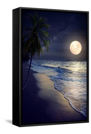 FULL MOON SEA TIDE BEACH NIGHT PHOTO ART PRINT POSTER PICTURE BMP969B
