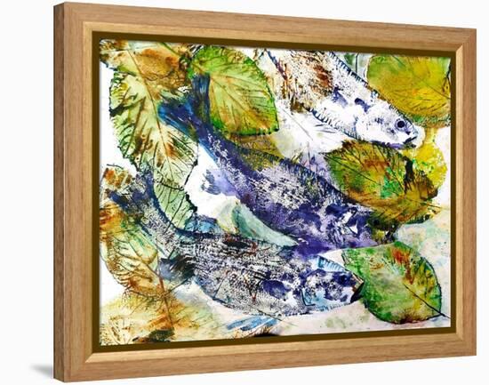 beautiful fish-jocasta shakespeare-Framed Premier Image Canvas