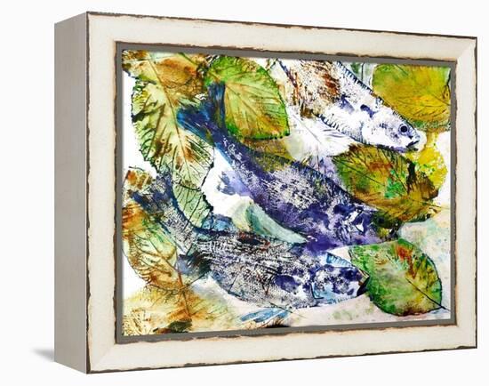 beautiful fish-jocasta shakespeare-Framed Premier Image Canvas