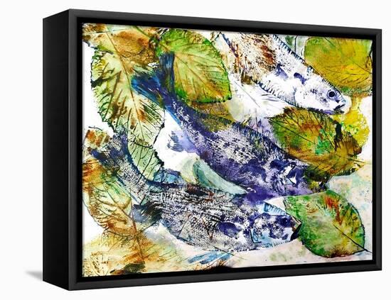 beautiful fish-jocasta shakespeare-Framed Premier Image Canvas