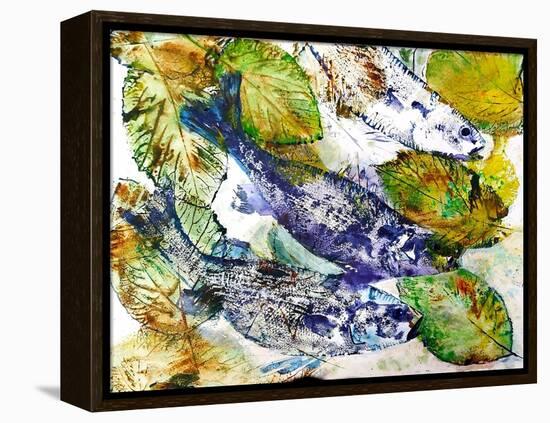 beautiful fish-jocasta shakespeare-Framed Premier Image Canvas