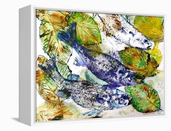 beautiful fish-jocasta shakespeare-Framed Premier Image Canvas