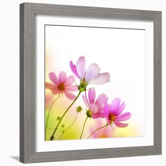 Beautiful Floral Border-Subbotina Anna-Framed Photographic Print