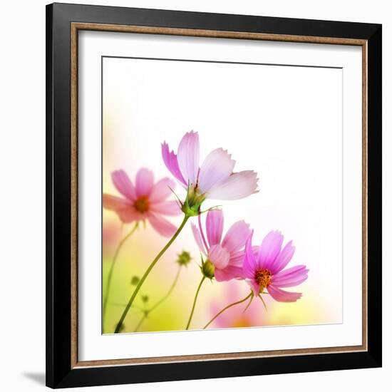 Beautiful Floral Border-Subbotina Anna-Framed Photographic Print