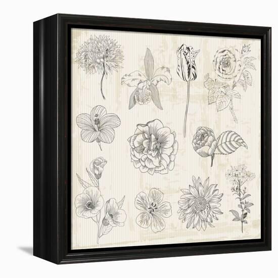 Beautiful Floral Elements - Hand Drawn Retro Flowers, Leaves - in Vector-woodhouse-Framed Stretched Canvas