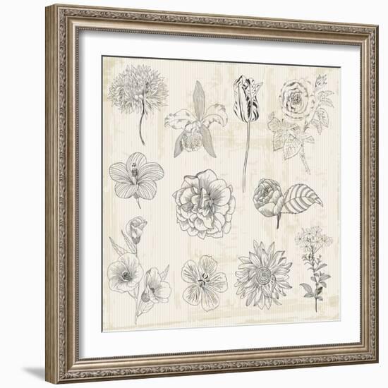 Beautiful Floral Elements - Hand Drawn Retro Flowers, Leaves - in Vector-woodhouse-Framed Art Print