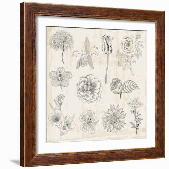 Beautiful Floral Elements - Hand Drawn Retro Flowers, Leaves - in Vector-woodhouse-Framed Art Print