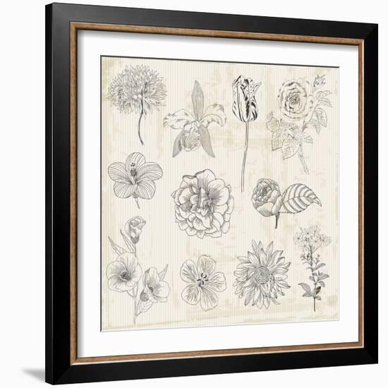 Beautiful Floral Elements - Hand Drawn Retro Flowers, Leaves - in Vector-woodhouse-Framed Art Print