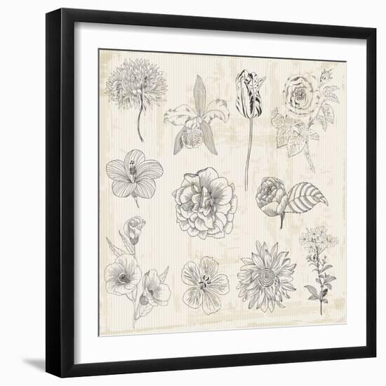 Beautiful Floral Elements - Hand Drawn Retro Flowers, Leaves - in Vector-woodhouse-Framed Art Print