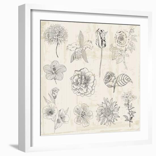 Beautiful Floral Elements - Hand Drawn Retro Flowers, Leaves - in Vector-woodhouse-Framed Art Print