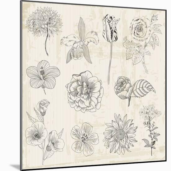 Beautiful Floral Elements - Hand Drawn Retro Flowers, Leaves - in Vector-woodhouse-Mounted Art Print