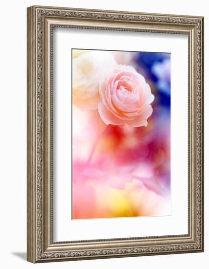 Beautiful Flowers Made with Color Filters and Textures-Timofeeva Maria-Framed Photographic Print