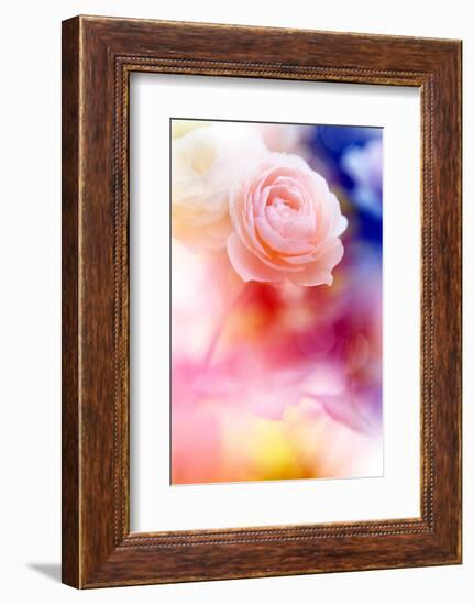 Beautiful Flowers Made with Color Filters and Textures-Timofeeva Maria-Framed Photographic Print