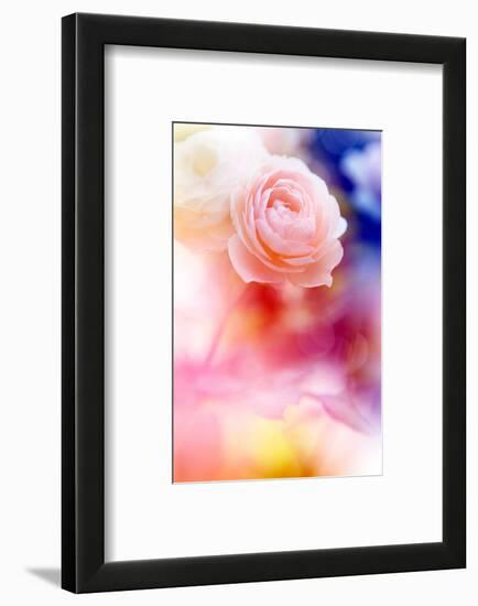 Beautiful Flowers Made with Color Filters and Textures-Timofeeva Maria-Framed Photographic Print