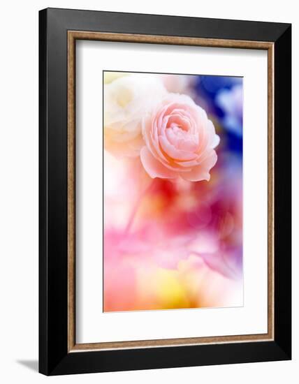 Beautiful Flowers Made with Color Filters and Textures-Timofeeva Maria-Framed Photographic Print